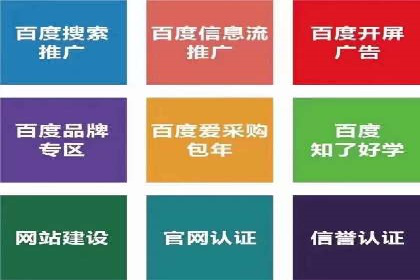 精选案例分享：SEM代运营公司效果展示