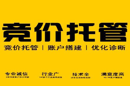 竞价托管案例分享：提升转化率的秘诀
